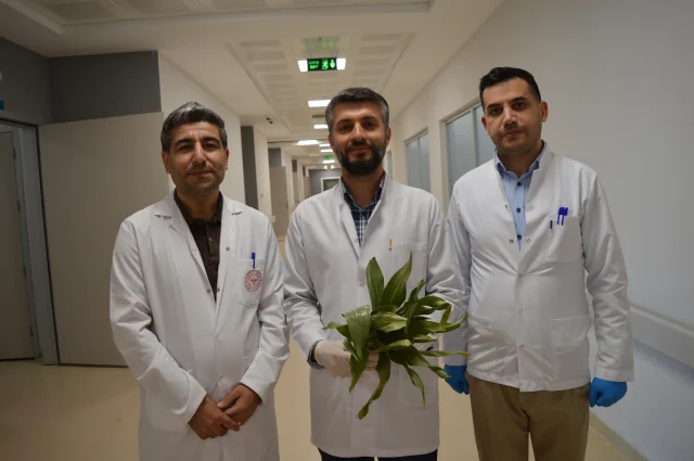 Zehirli Ot Nedeniyle Hastaneye Kaldırılan Kadın Ölümden Döndü-1