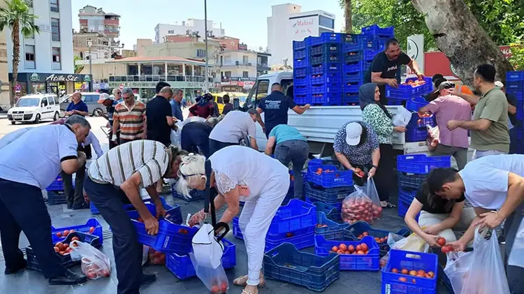 5 Tl'ye Alan Olmadı 4 Ton Domatesi Ücretsiz Dağıttı