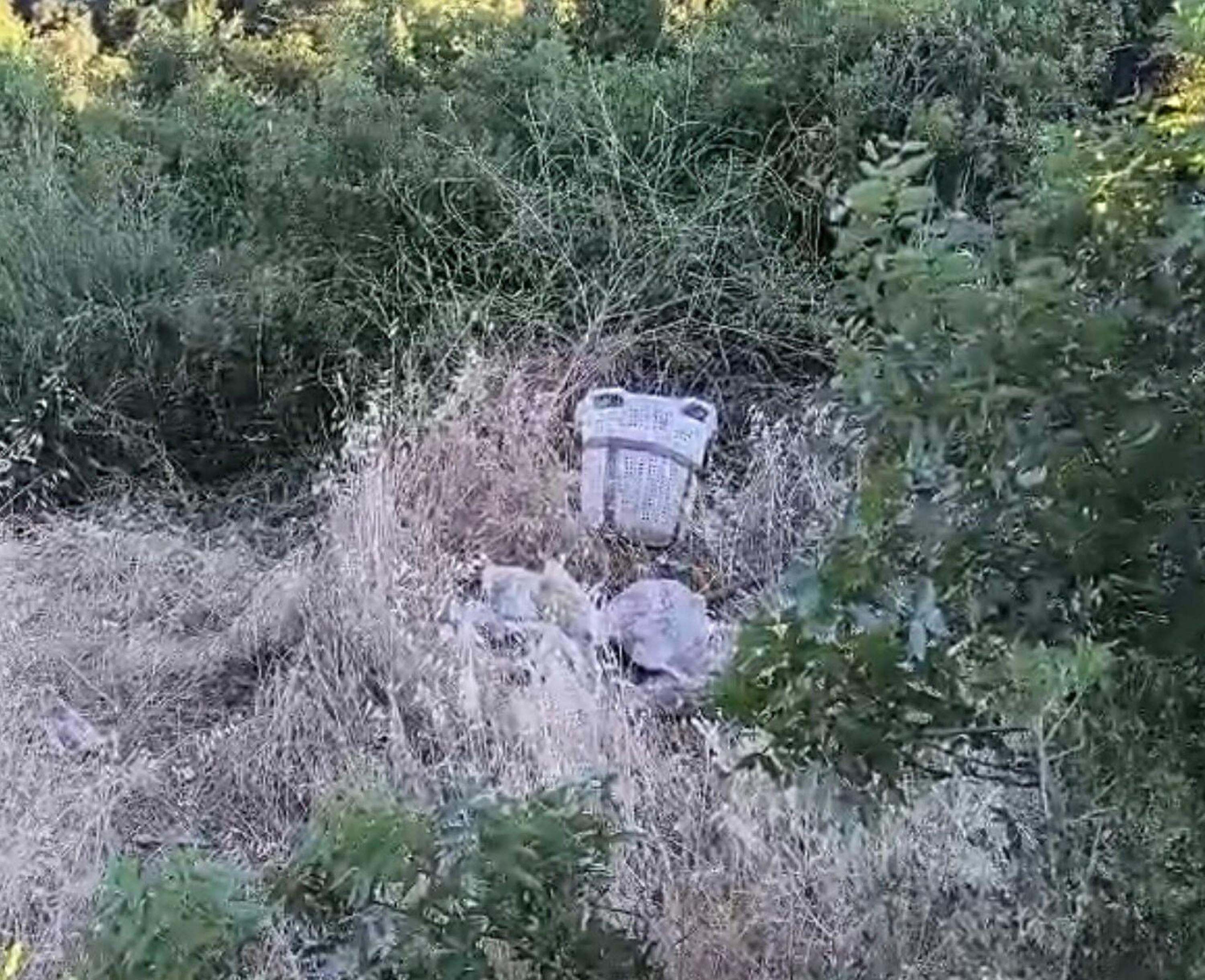 Devrilen traktörünün altında kalıp, öldü; Kaza kamerada-1