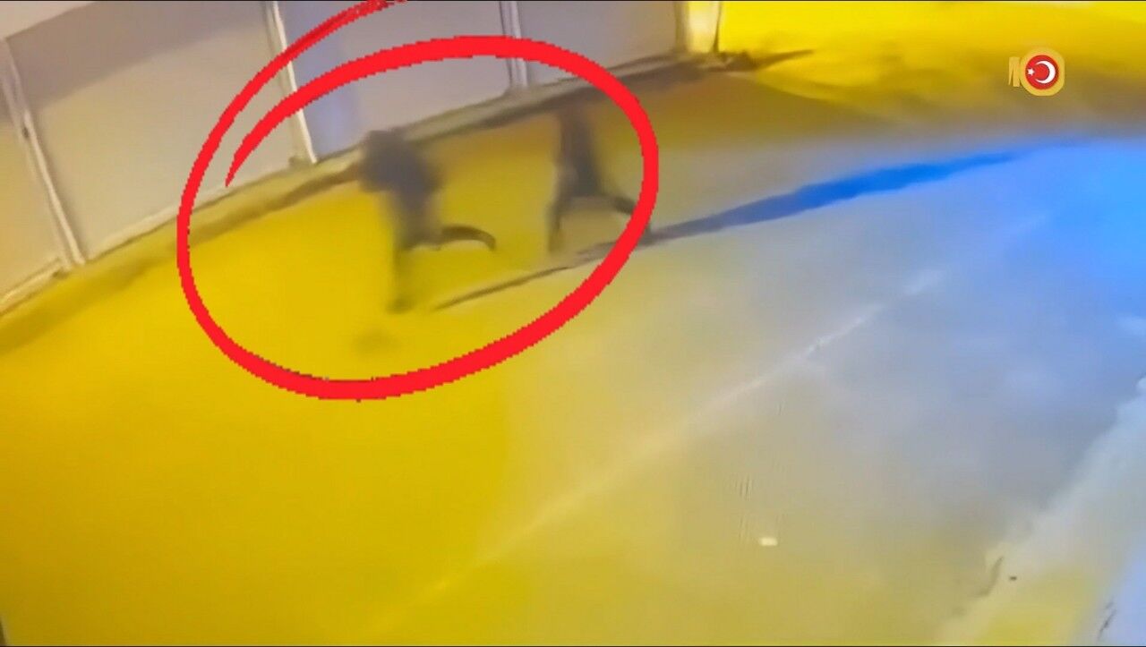 Diyarbakır’da Suç Örgütüne Büyük Operasyon! 40 Gözaltı 15 Tutuklu (4)-1