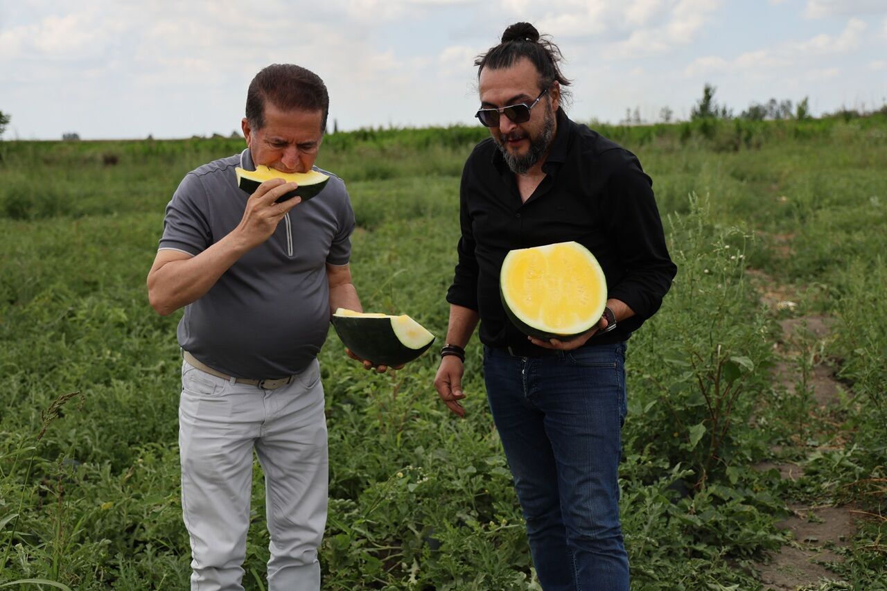 Kabuğu Yeşil, İçi Sarı Karpuz Görenleri Hayrete Düşürüyor (5)