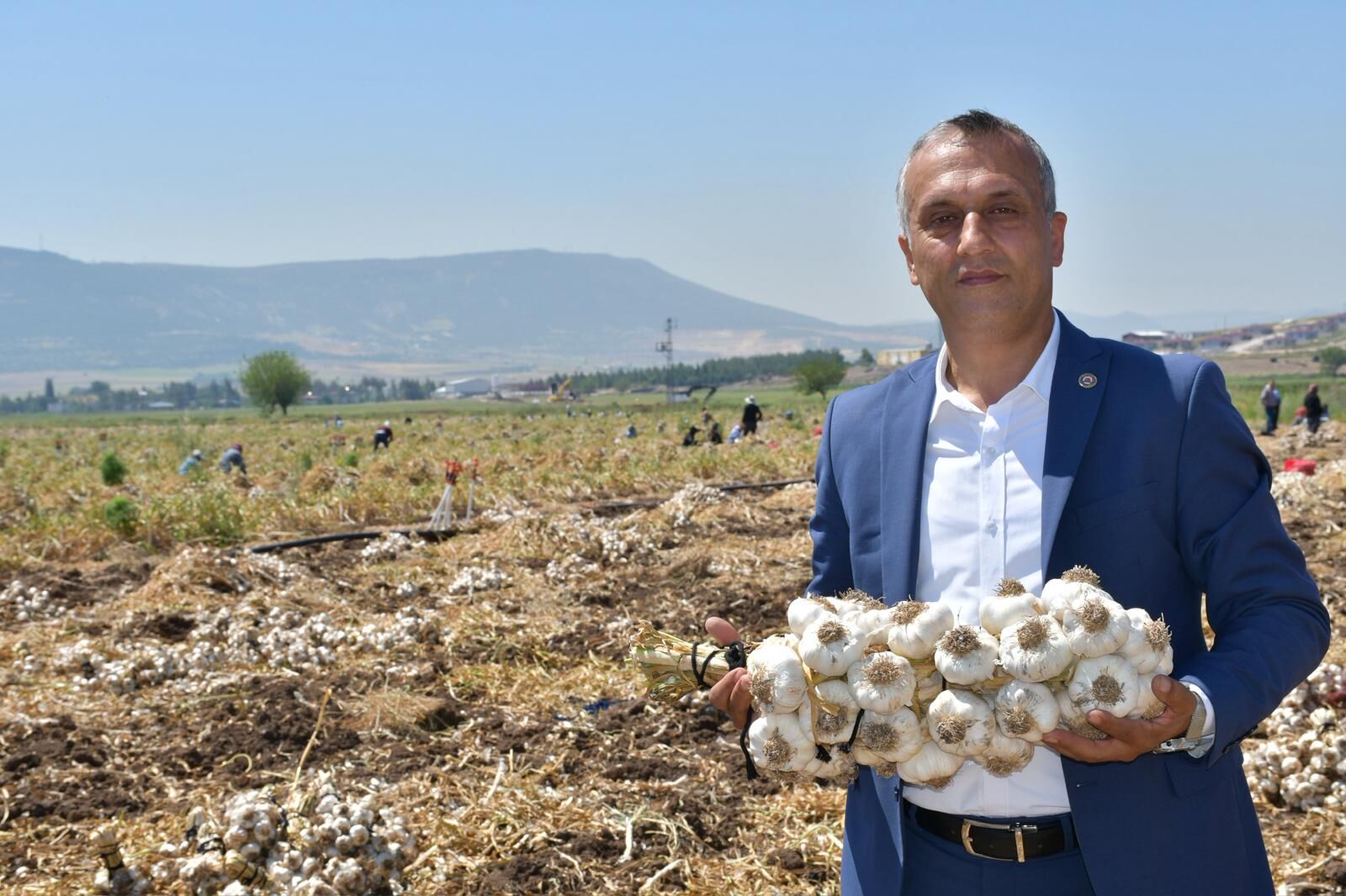 Kahramanmaraş Ziraat Odası Başkanı Açıkladı Sarımsakta Kalite Ve Verim Yüksek (1)-1