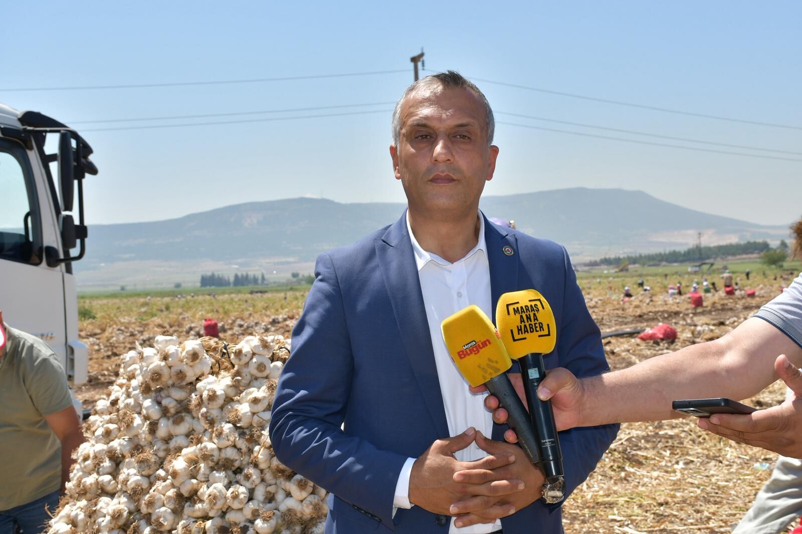 Kahramanmaraş Ziraat Odası Başkanı Açıkladı Sarımsakta Kalite Ve Verim Yüksek (6)