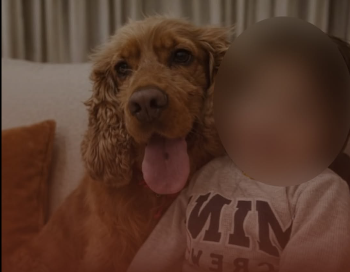Kahramanmaraş’ta Herkes Bu Köpeği Arıyor! Olay Sonrası Kayboldu