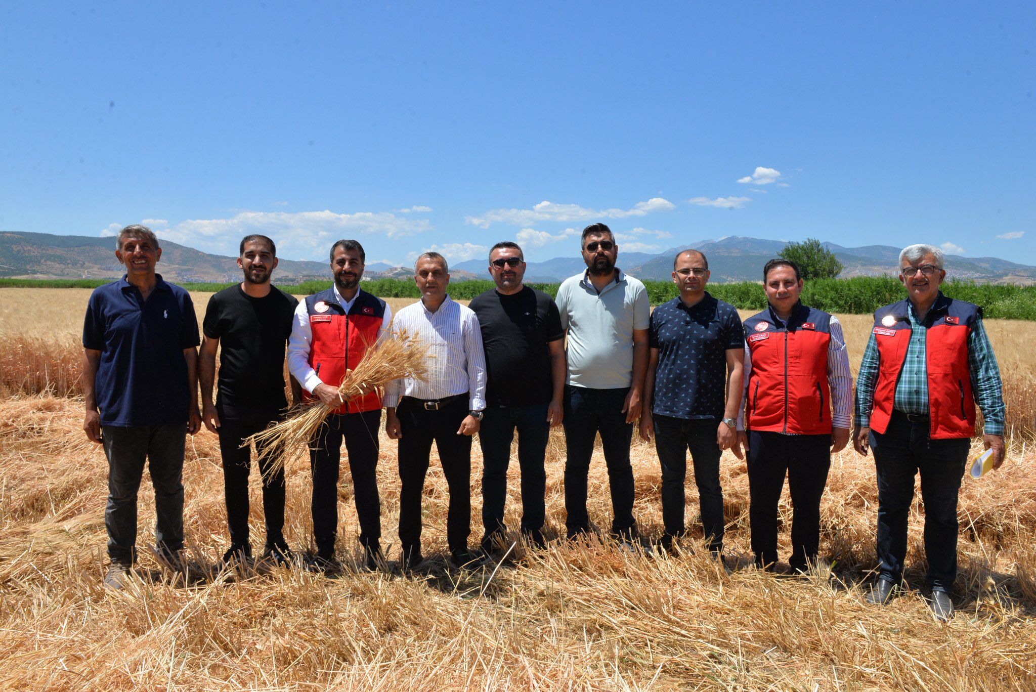 Kahramanmaraş’ta Buğday Hasadı Mesaisi Başladı (1)