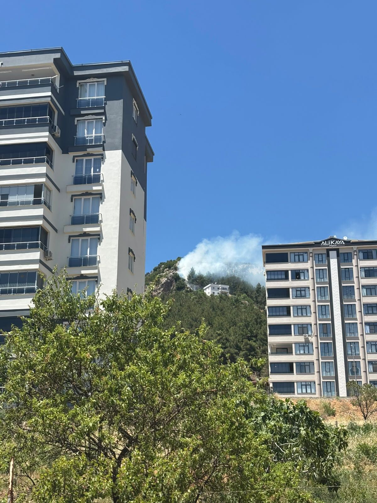 Kahramanmaraş'ta Korkutan Orman Yangını (1)