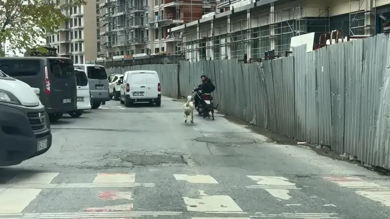Seyrantepe’de Motosiklete Bağladığı Köpeği Metrelerce Koşturdu; 8 Bin 678 Lira Ceza Kesildi