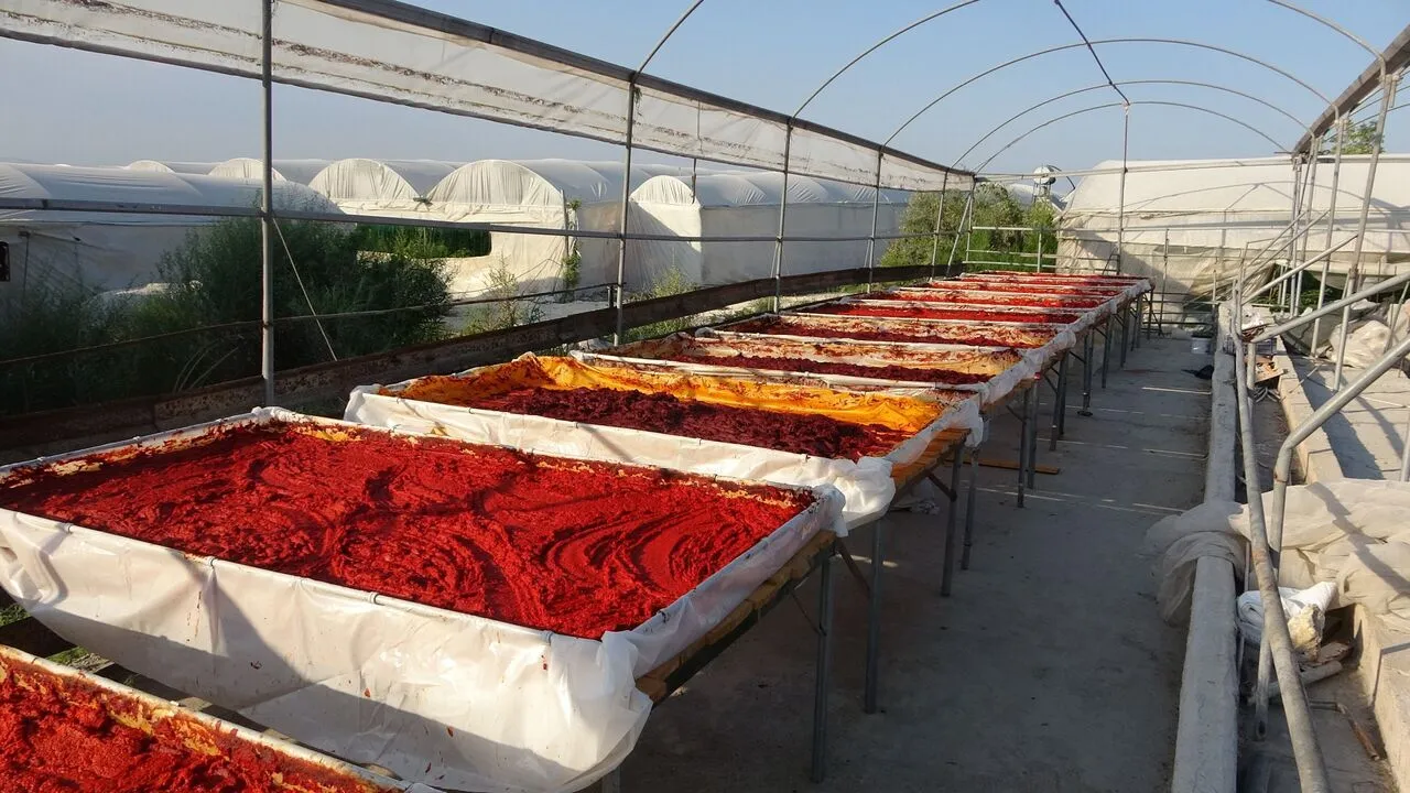 Kahramanmaraş usulü biber salçası nasıl yapılır?