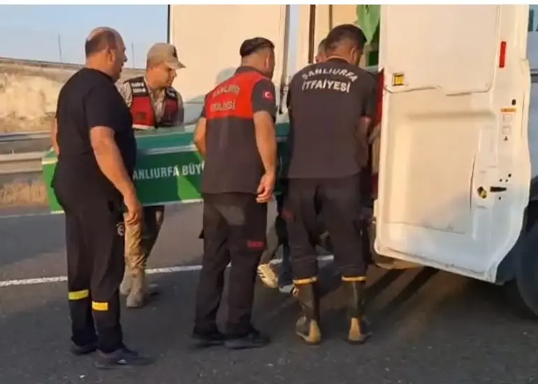 Günübirlik Gezi Sonrası Dönüş Yolunda Kaza; 3 Ölü, 3'Ü Çocuk 8 Yaralı