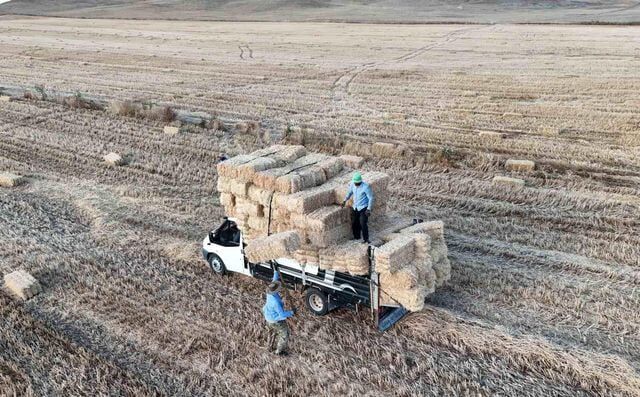 Kahramanmaraşlı Mevsimlik İşçiler Günlük 6 7 Bin Tl Kazanıyorlar (2)
