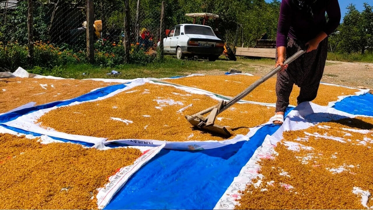 Kahramanmaraş'ta Asırlık Gelenek Sürüyor! Kışlık Hazırlıklar Başladı (2)