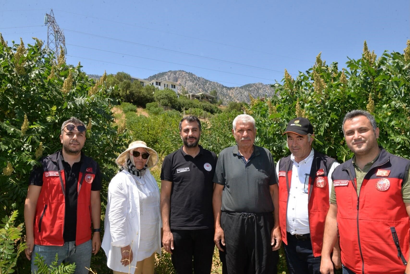 Kahramanmaraş'ta Bu Ürünü Eken Kazanıyor! 22 Bin Fidan Meyve Verdi (5)