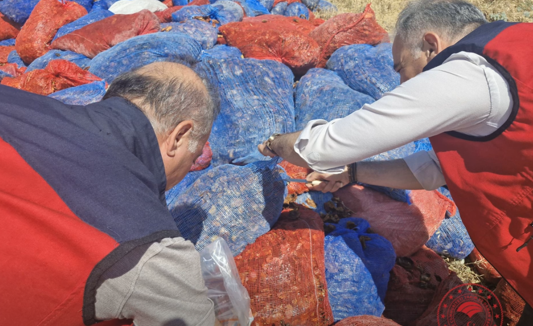 Kahramanmaraş'ta Gıda Skandalı! Ruhsatsız Mandırada Tonlarca Ürün Yakalandı (1)