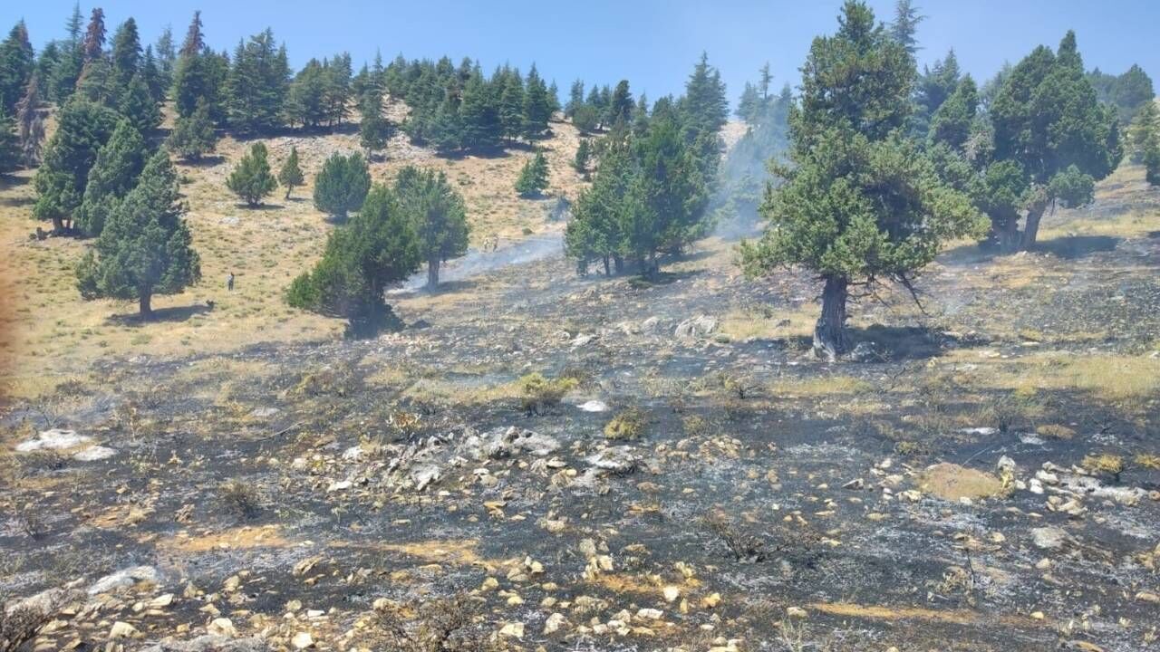 Kahramanmaraş'ta iki orman yangını kontrol altında