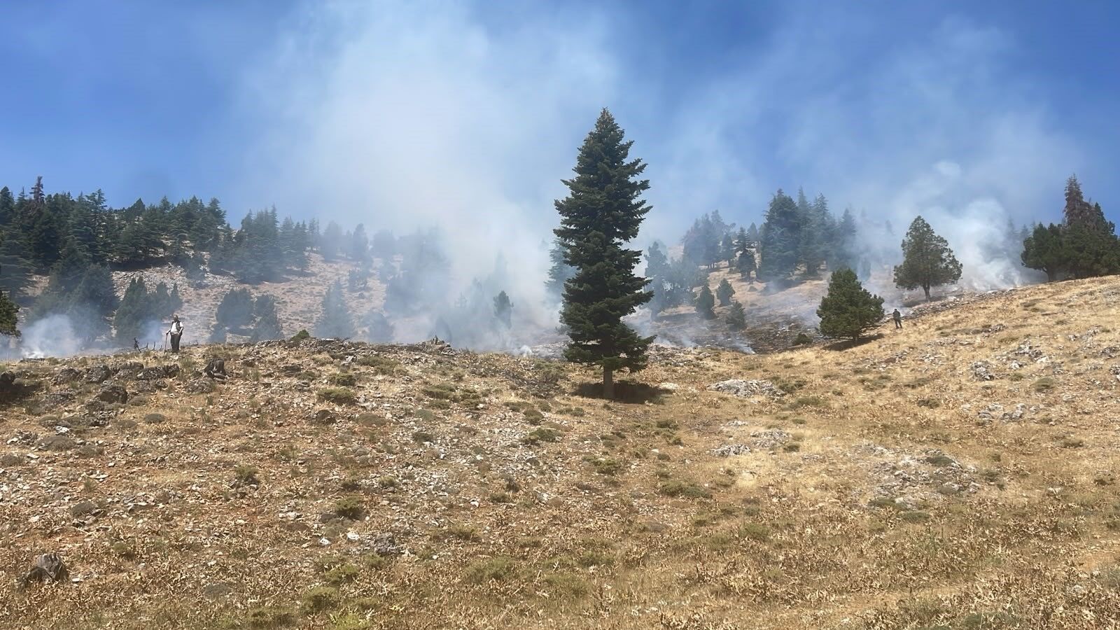 Kahramanmaraş'ta Iki Orman Yangını Kontrol Altında3