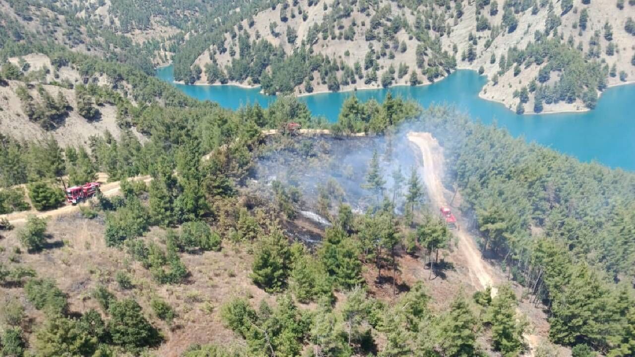 Kahramanmaraş'ta orman yangını: Havadan ve karadan müdahale edildi