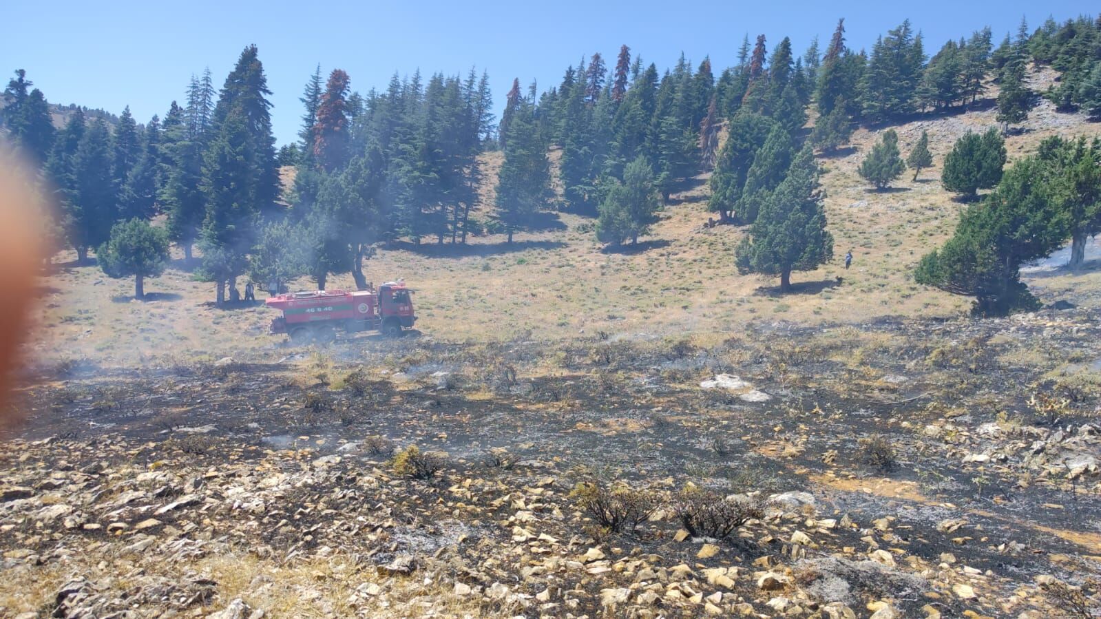 Kahramanmaraş'ta Orman Yangınına Havadan Ve Karadan Müdahale (2)