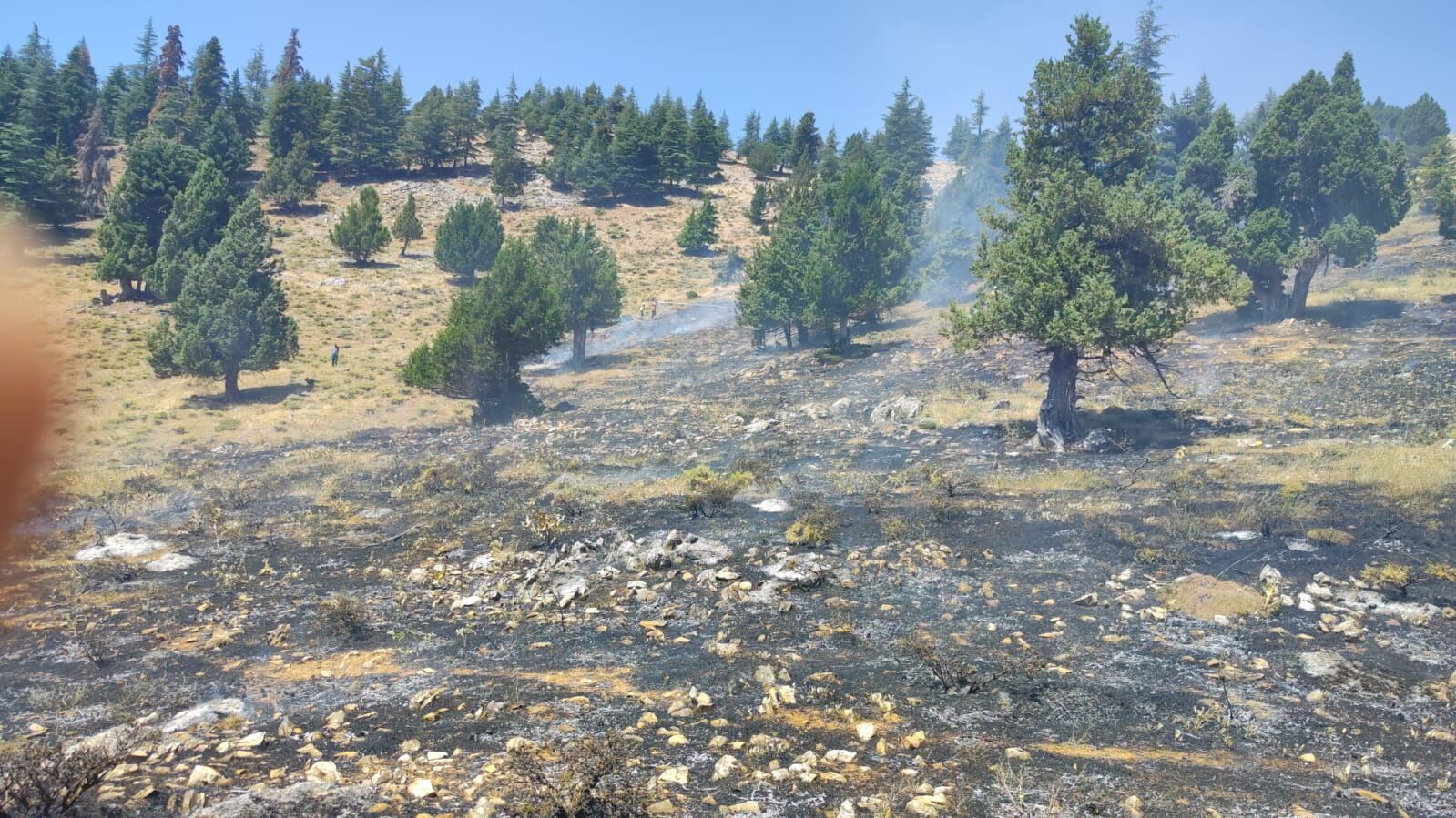 Kahramanmaraş'ta Orman Yangınına Havadan Ve Karadan Müdahale (3)