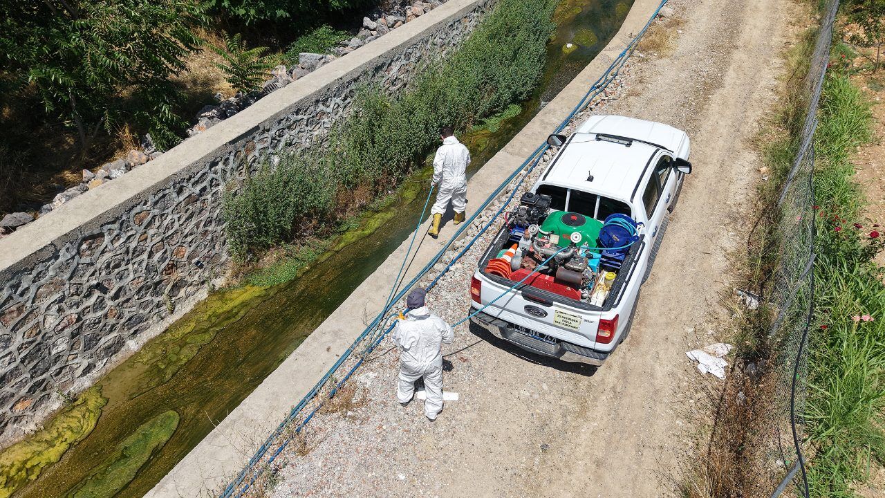Kahramanmaraş’ta Sivrisineklere Karşı Etkin Mücadele (1)