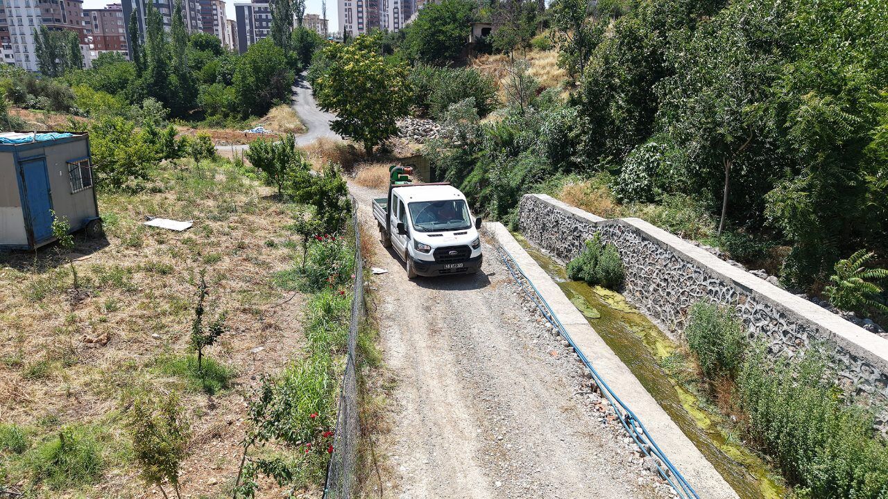 Kahramanmaraş’ta Sivrisineklere Karşı Etkin Mücadele (3)