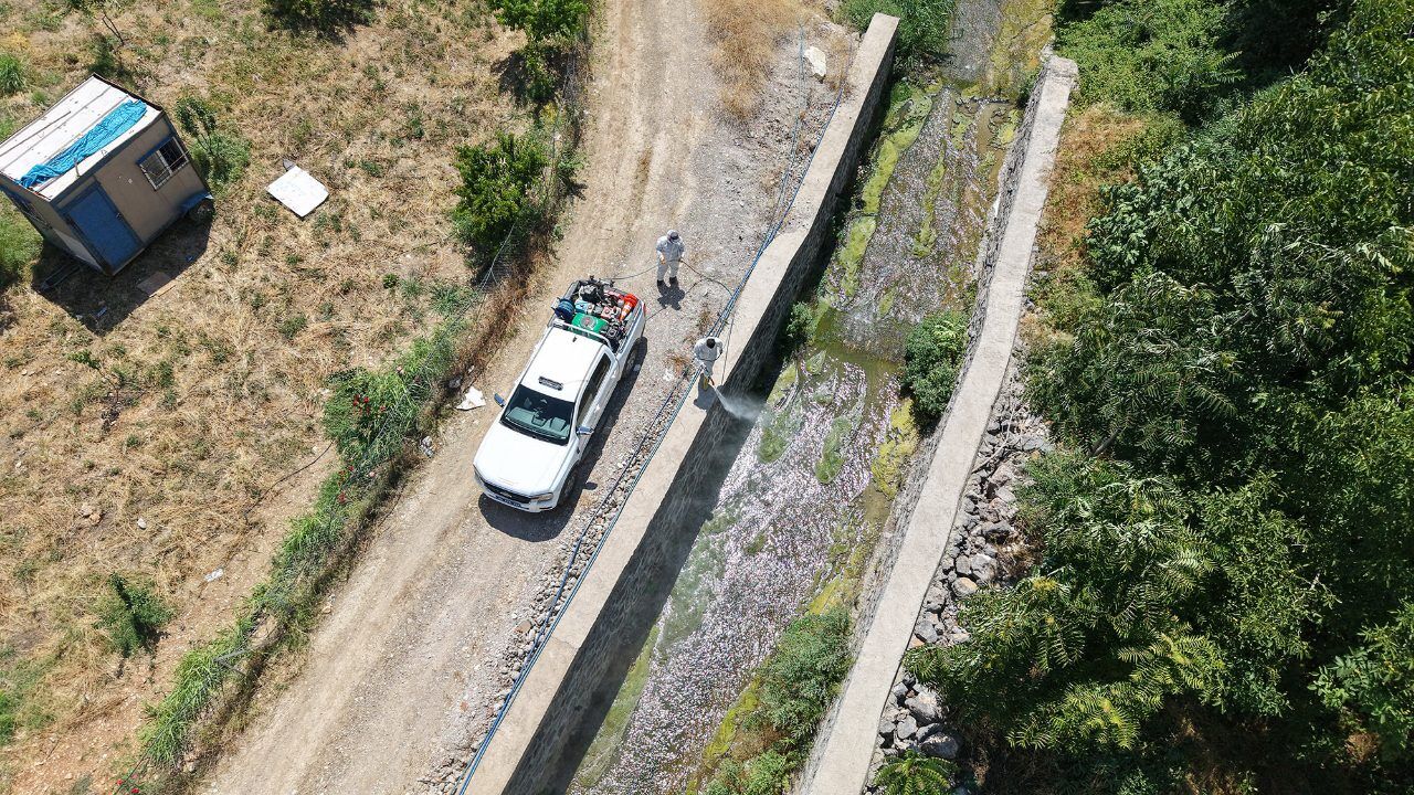 Kahramanmaraş’ta Sivrisineklere Karşı Etkin Mücadele (4)