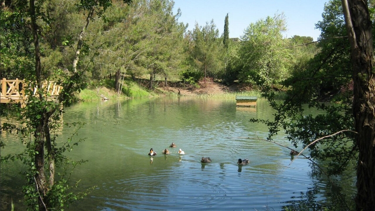 Kapıçam Tabiat Parkı Nerede, Nasıl Gidilir, Giriş Ücretli Mi (2)