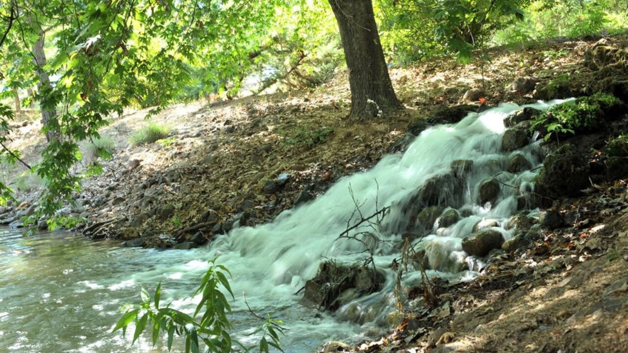 Kapıçam Tabiat Parkı Nerede, Nasıl Gidilir, Giriş Ücretli Mi