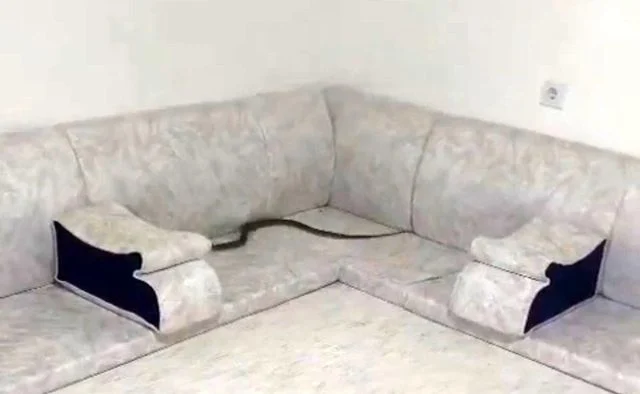 Misafir Hazırlığı Yapan Ailenin Evine Yılan Girdi (1)