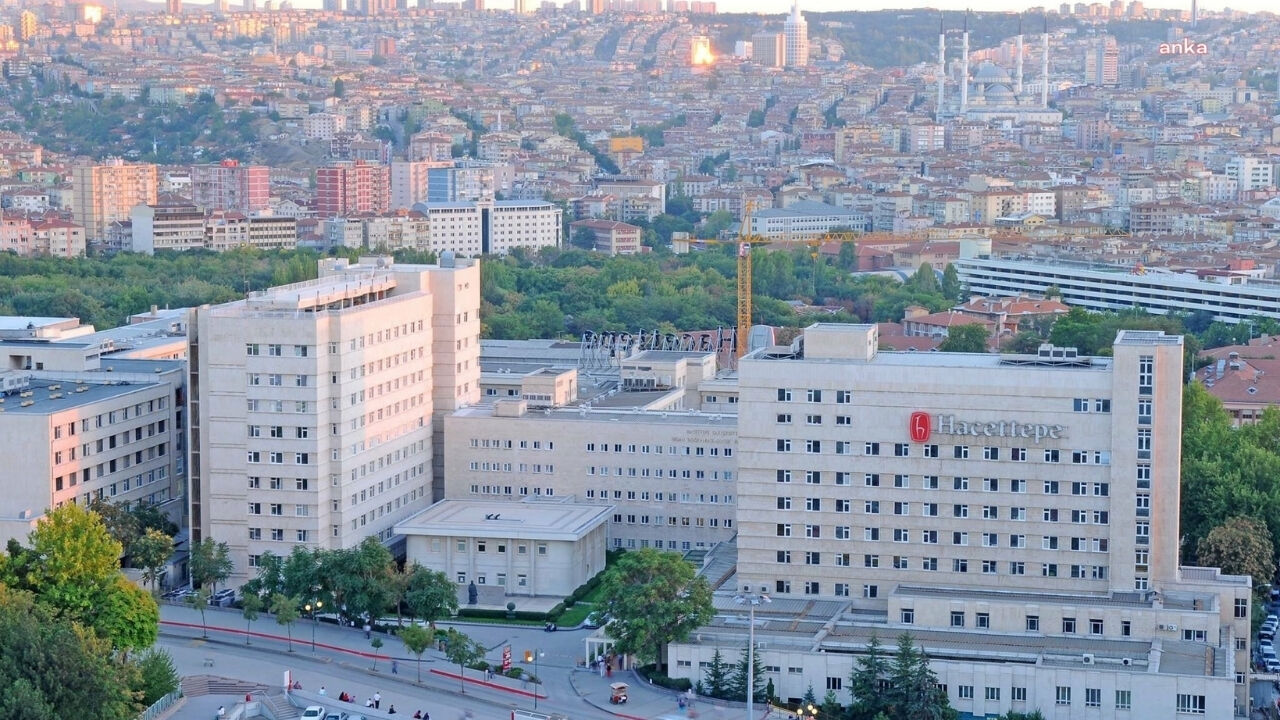 Prof. Dr. Meral Özgüç Kimdir, Neden Öldü, Ölüm Nedeni Nedir?