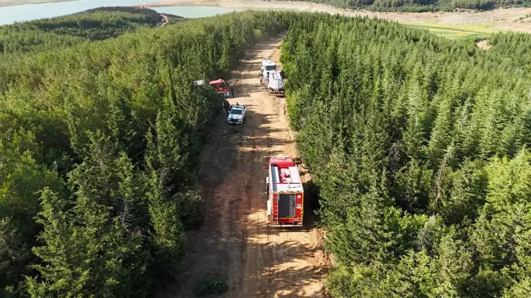 Tekirdağ'da Yangında 80 Dekar Orman Zarar Gördü