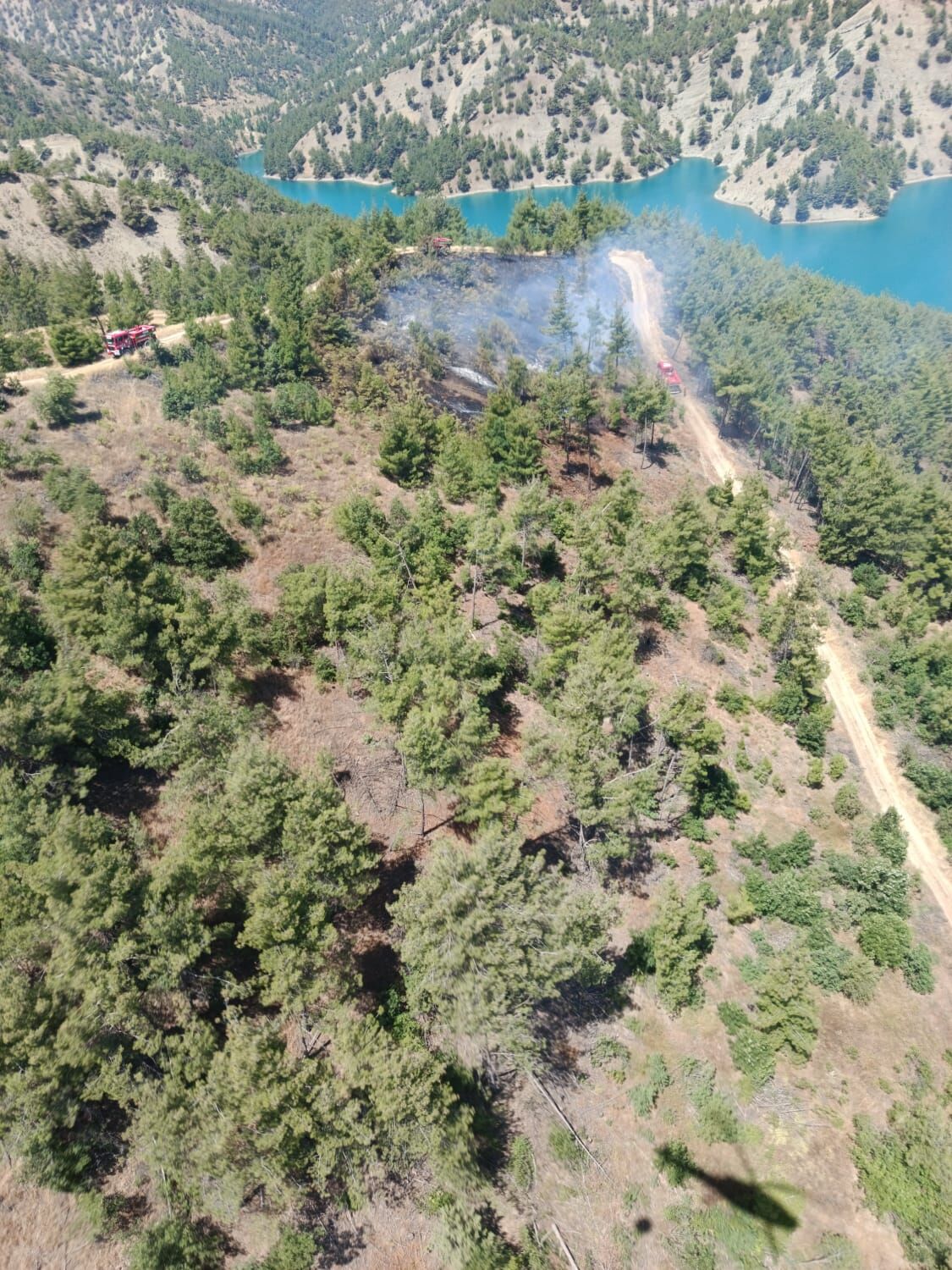 Kahramanmaraş'ta orman yangını: Havadan ve karadan müdahale edildi