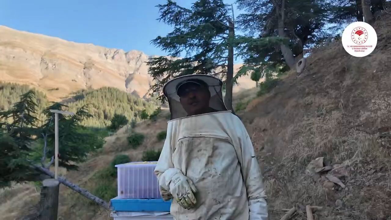 Kahramanmaraş'ta bal hasadı başladı1