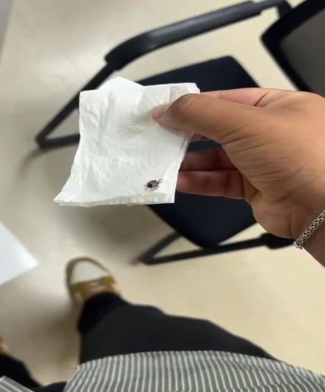 5 Yaşındaki Çocuğun Kulağından Canlı Kene Çıktı (1)