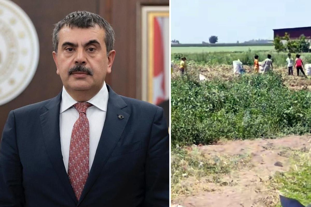Eğitim