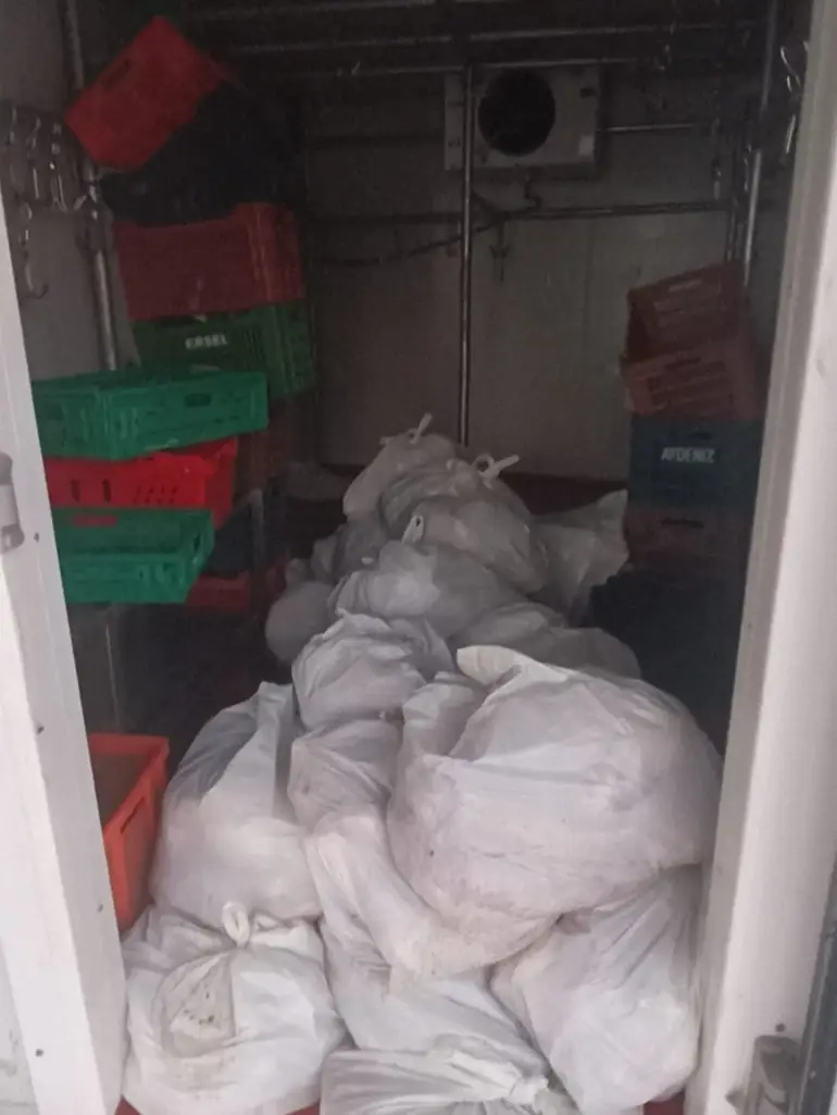 Bodrum’da 400 Kilo Bozuk Ete El Konuldu