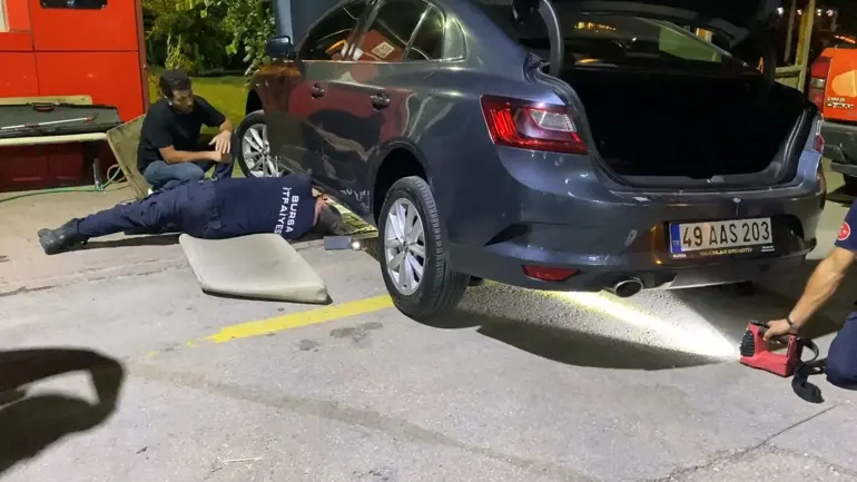 Bursa'da Otomobilin Motoruna Giren Yılan Itfaiye Ekipleri Tarafından Çıkarıldı