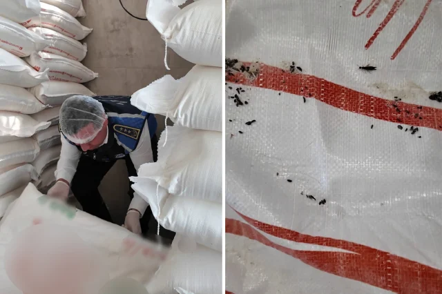 Fırında Skandal Görüntüler Millete Fare Pisliği Yedirmişler! (1)