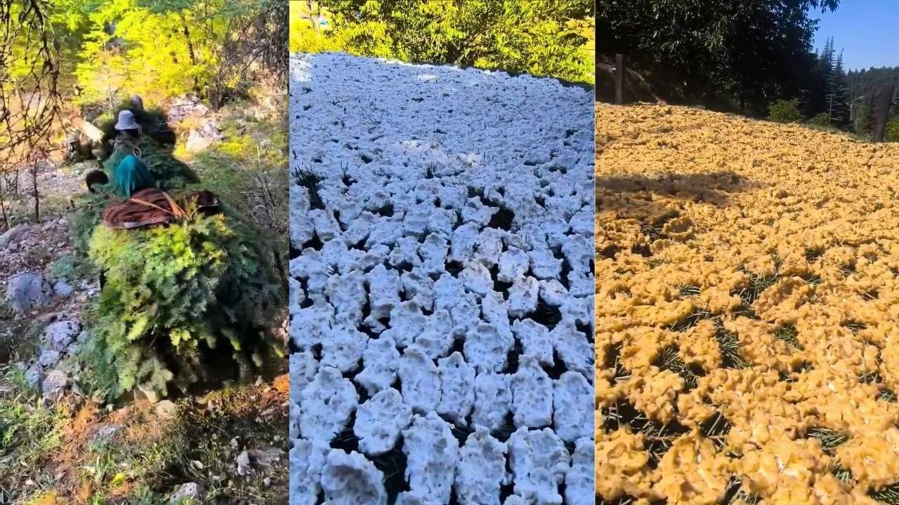 Kahramanmaraşlı kadınların el emeği! Tarhananın doğadaki serüveni