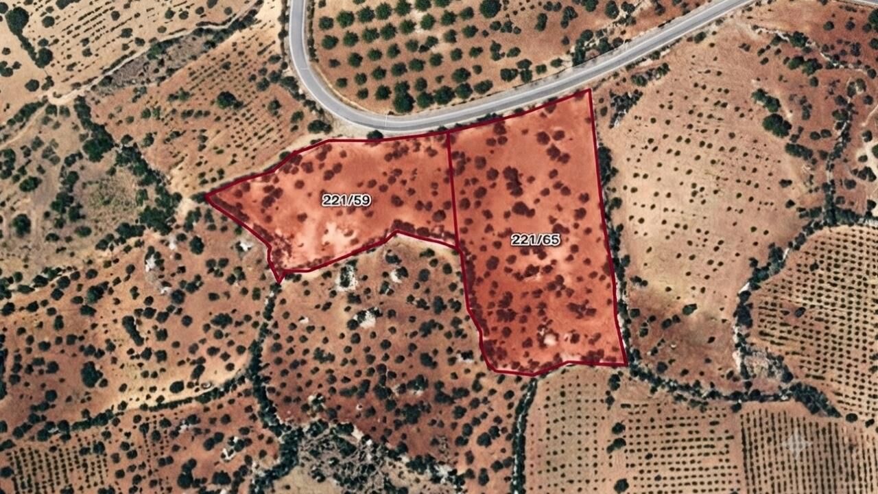 Kahramanmaraş'ta 7 milyon liralık dev fıstık arazileri icradan yarı fiyatına gidiyor!
