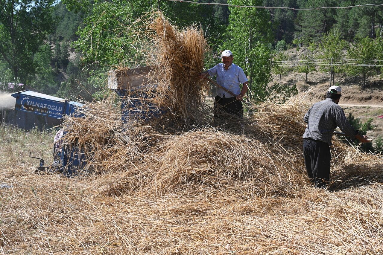 Kahramanmaraş’ta Bin Yıllık Gelenek Sürüyor Buğday Hasadı İmeceyle Yapılıyor (8)