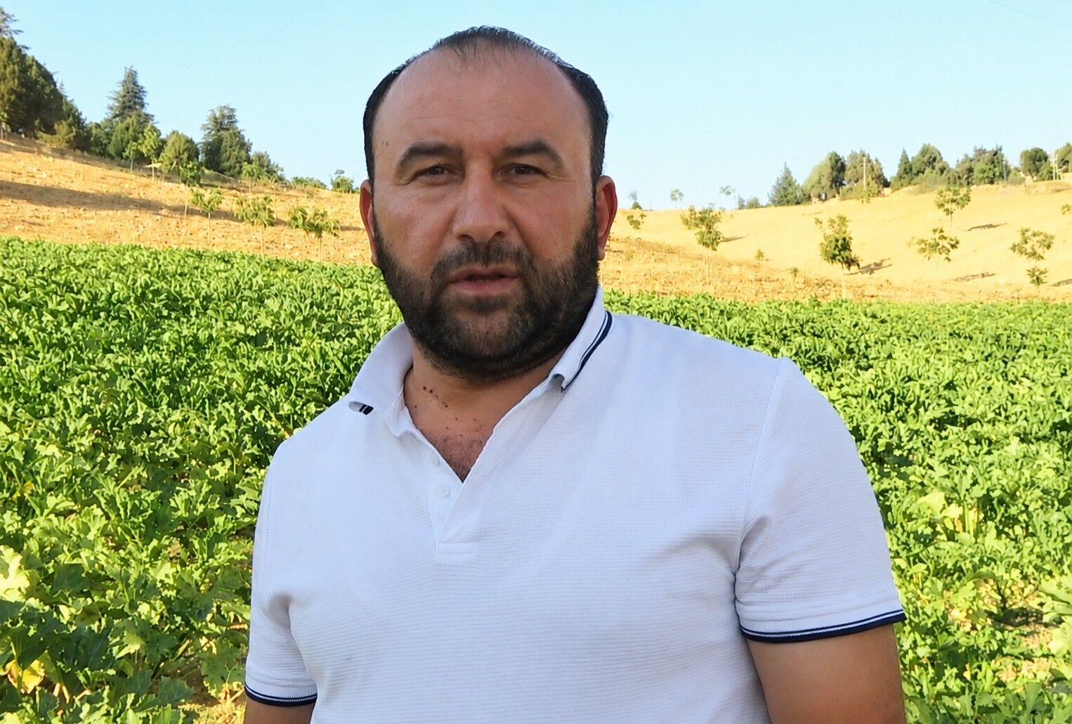 Kahramanmaraş’ta Fabrika İşçiliğini Bıraktı, Kabak Üreticisi Oldu (2)