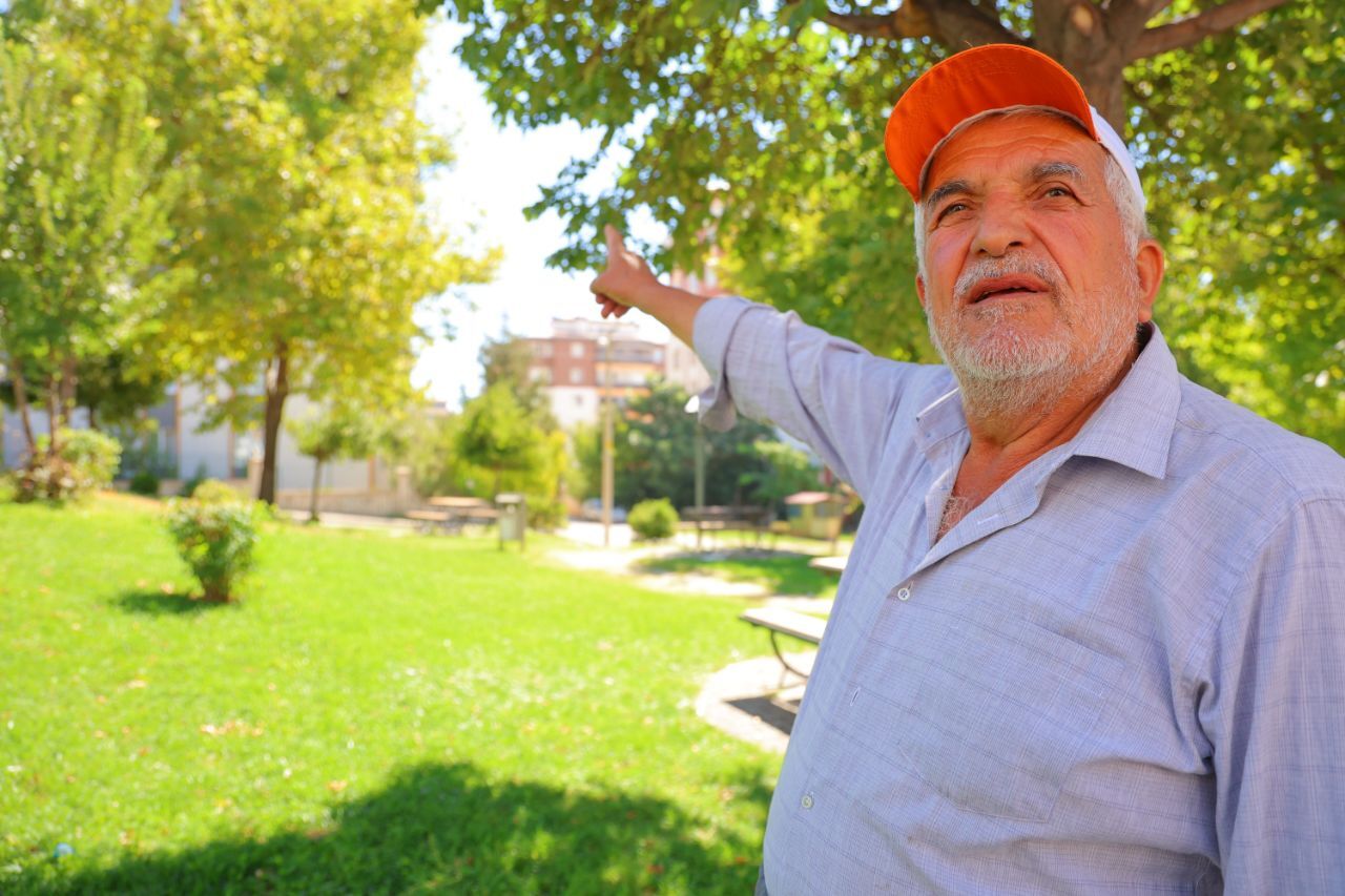 Kahramanmaraş'ta kargalar parkı mesken tuttu!