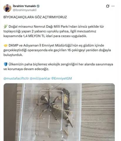 Nemrut Dağı'ndan Çekirge Toplayan 2 Kişiye 1,4 Milyon Lira Ceza