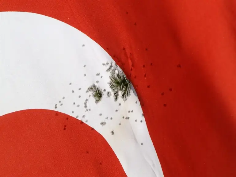 Türk Bayrağına Tüfekle Zarar Verildi