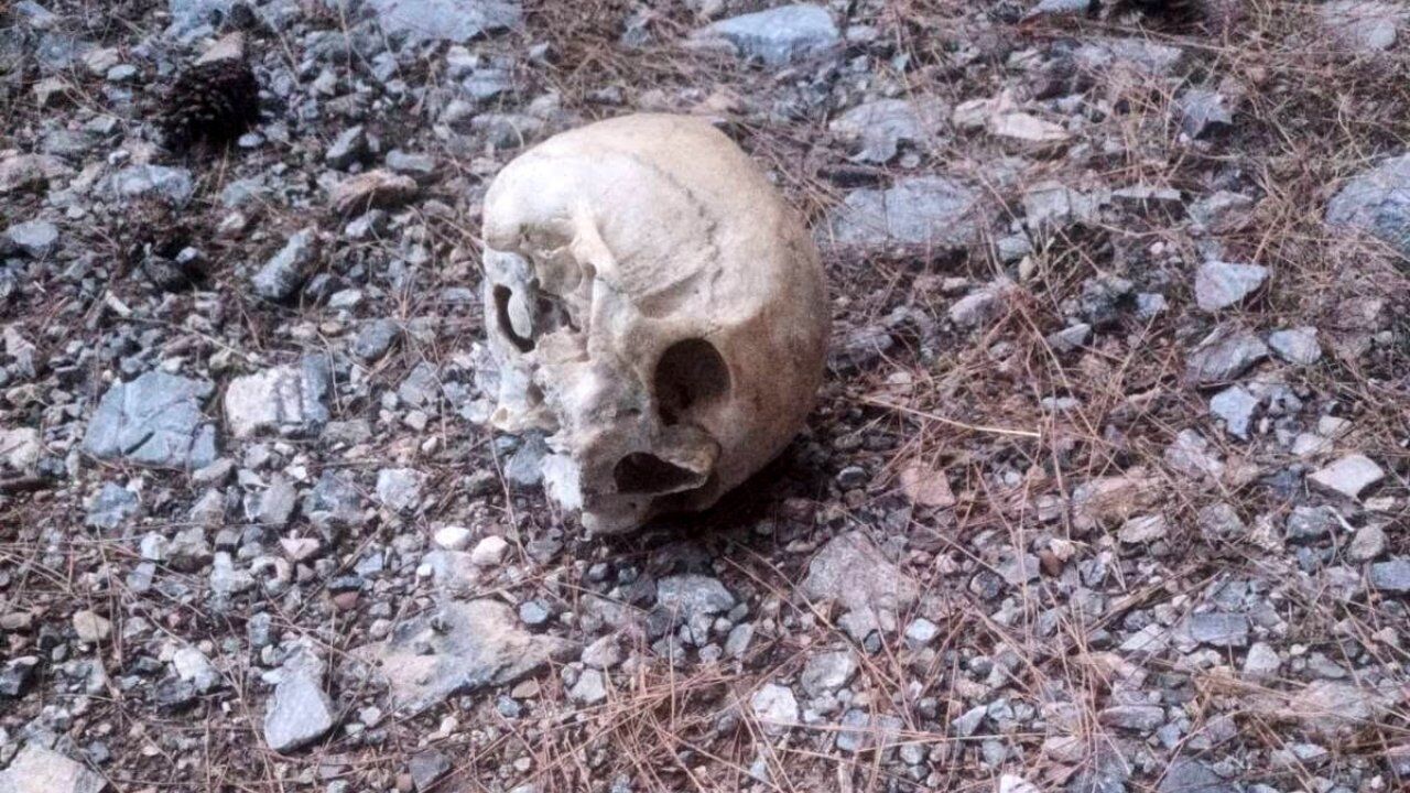 Asayiş