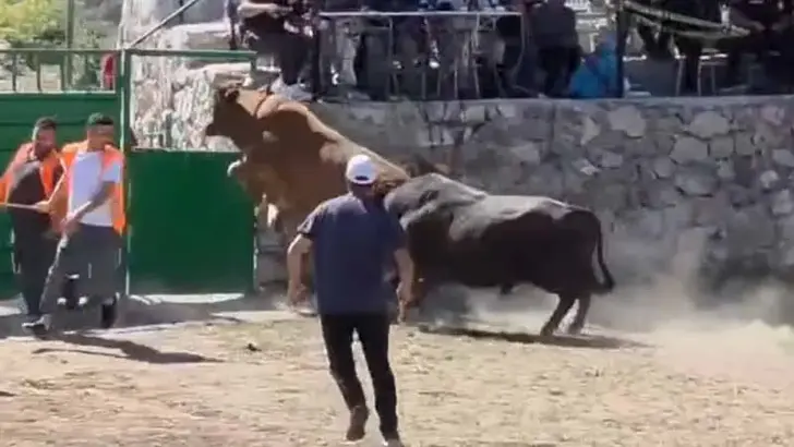 Güncel
