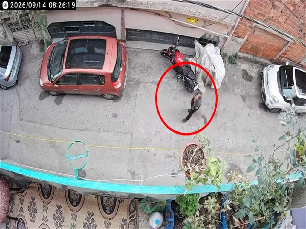 Bursa'da kucağındaki kediye şiddet uygulayan şüpheli yakalandı