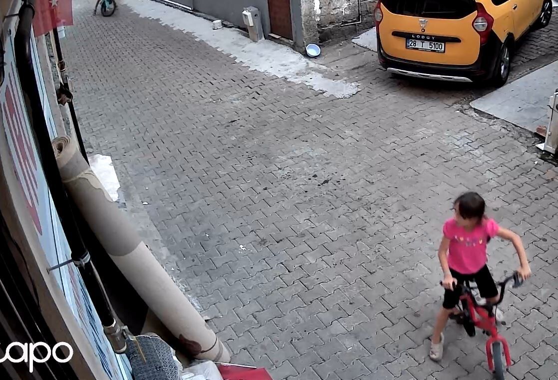Giresun’da 7 Yaşındaki Nehir’in Türk Bayrağı Hassasiyeti Kamerada (3)