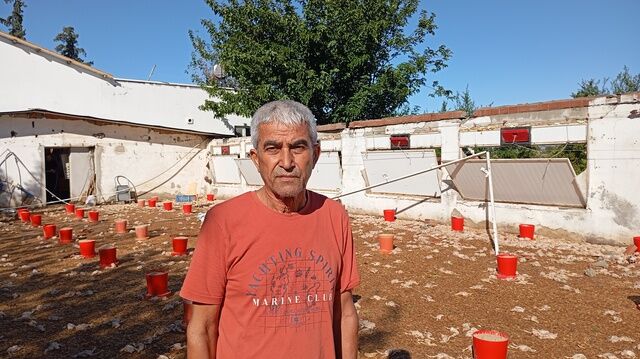 Hortum Iki Tavuk Çiftliğini Yerle Bir Etti! 20 Bin Civciv Öldü (2)