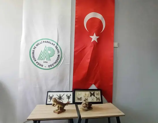 İş Yerinde Hayvan Tahnitlerini Satarken Yakalandı 1